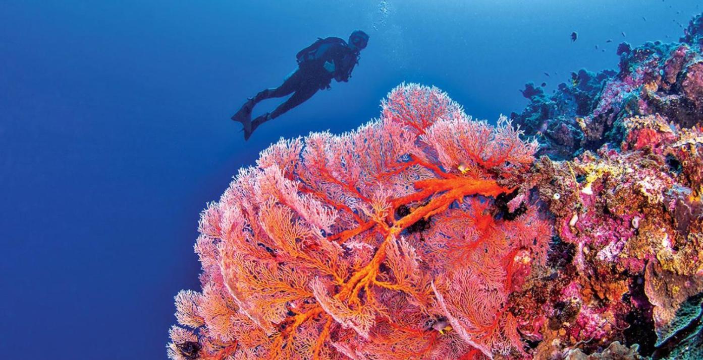 Pristine Paradise Dive Resort - Togean Islands, Una Una Pulau Unauna Extérieur photo